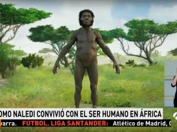 Reconstrucción del Homo Naledi