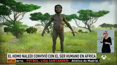 Reconstrucción del Homo Naledi Reconstrucción del Homo Naledi