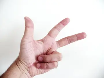 Estas son las 3 reglas de toda dieta exitosa. Estas son las 3 reglas de toda dieta exitosa.