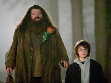 Robbie Coltrane y Daniel Radcliffe en 'Harry Potter'