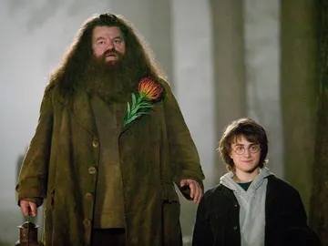 Robbie Coltrane y Daniel Radcliffe en 'Harry Potter' Robbie Coltrane y Daniel Radcliffe en 'Harry Potter'