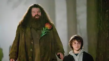 Hagrid en 'Harry Potter y el Cáliz de Fuego'