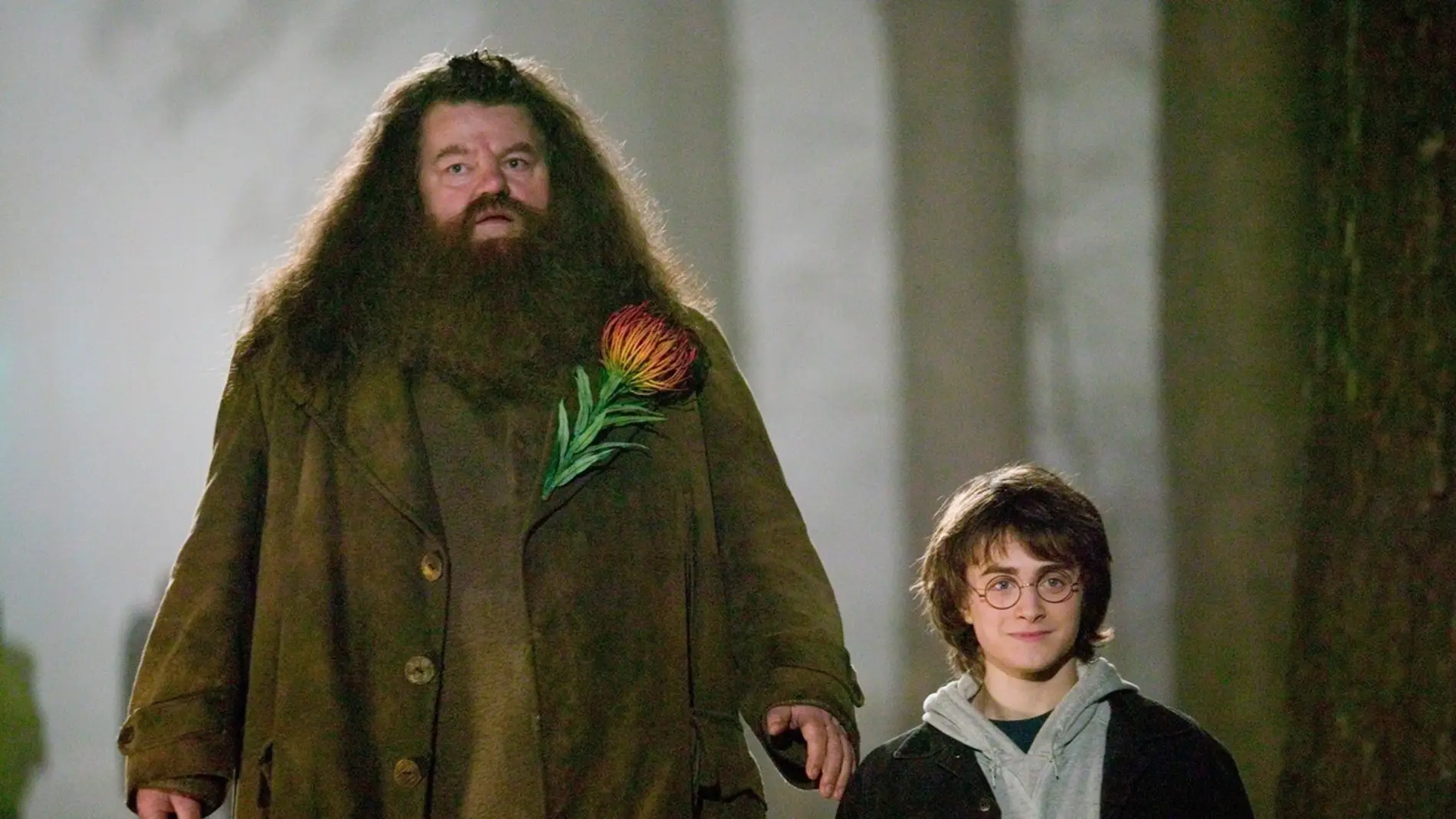 Robbie Coltrane y Daniel Radcliffe en 'Harry Potter'
