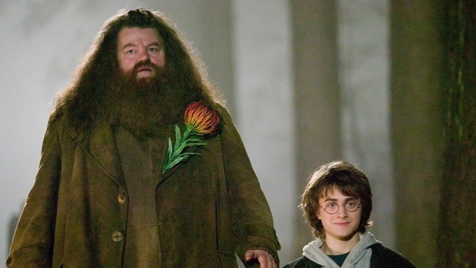 Hagrid y Harry Potter