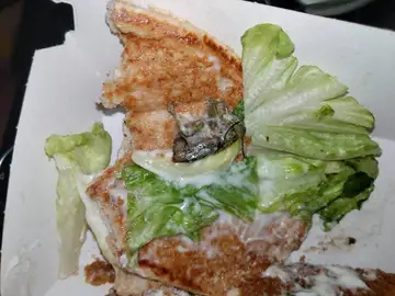 El bicho en la hamburguesa El bicho en la hamburguesa