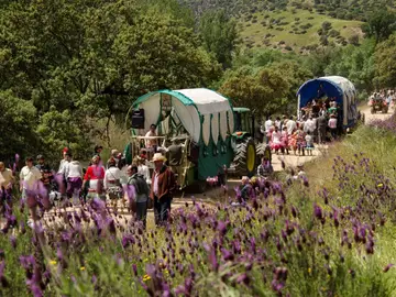 Romería de 'La Morenita' en Andújar Romería de 'La Morenita' en Andújar
