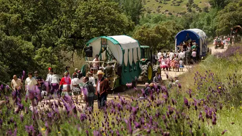 Romería de 'La Morenita' en Andújar Romería de 'La Morenita' en Andújar