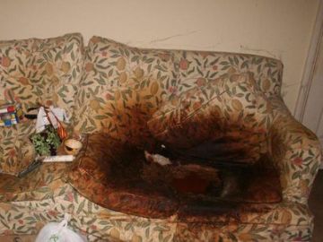 El sillón cubierto de heces