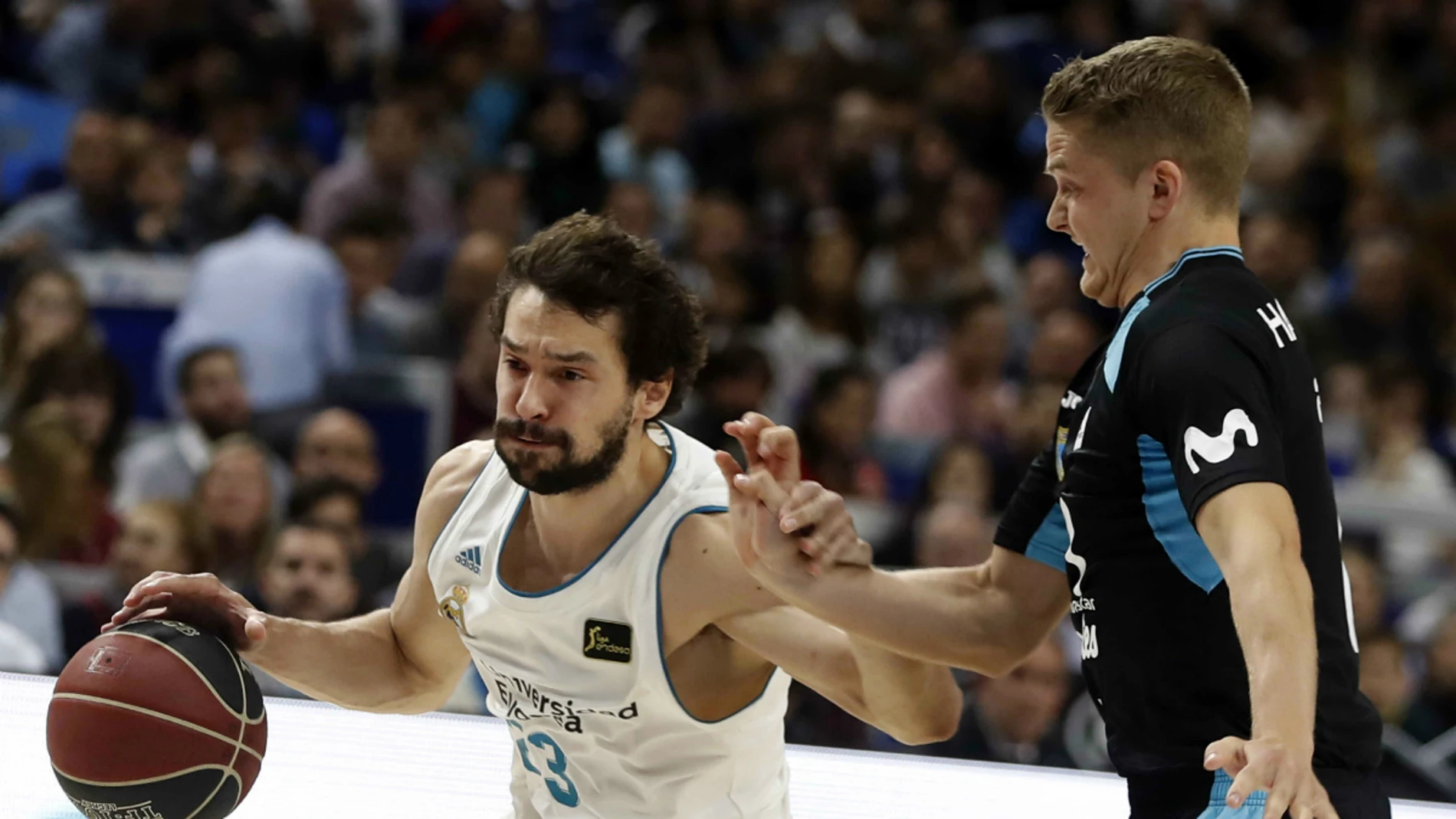 Sergio Llull, ante Estudiantes Sergio Llull, ante Estudiantes