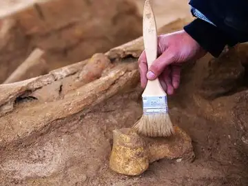 Un arqueólogo trabajando Un arqueólogo trabajando