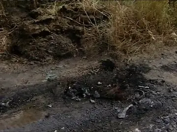 Hallan el cadáver del hombre cuyo coche encontraron calcinado en Málaga Hallan el cadáver del hombre cuyo coche encontraron calcinado en Málaga