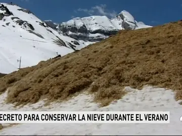 NIEVE_NUEVA NIEVE_NUEVA