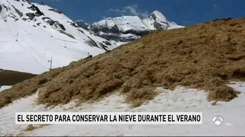 NIEVE_NUEVA NIEVE_NUEVA