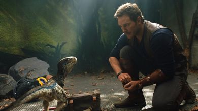 'Jurassic World: El Reino Caído': Blue se come a Chris Pratt en el mejor vídeo del día