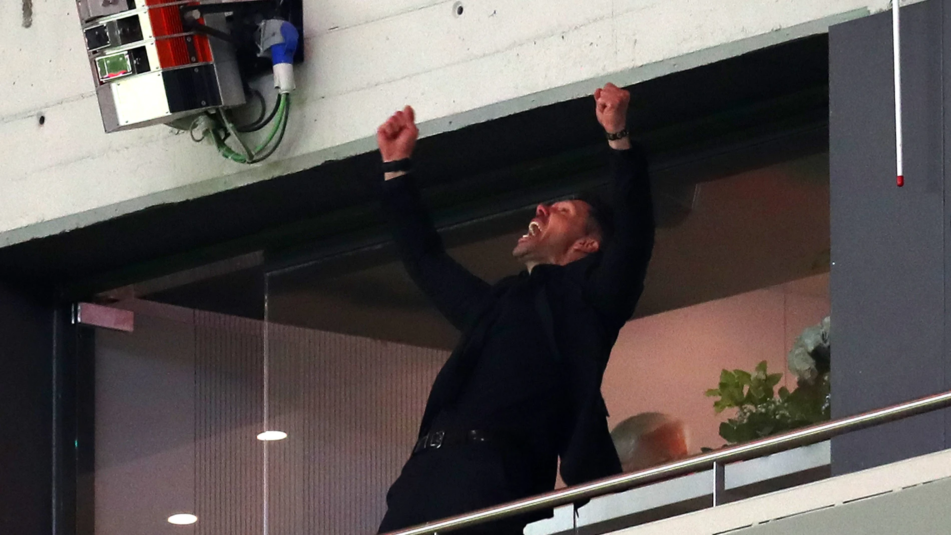 Simeone, desatado en el palco Simeone, desatado en el palco