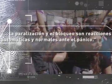 La carta de 2.000 psicólogos contra 'La Manada': "El bloqueo es normal ante el pánico" La carta de 2.000 psicólogos contra 'La Manada': "El bloqueo es normal ante el pánico"