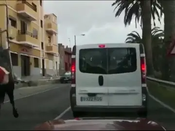 Una yegua cabalga sin jinete por la carretera de Telde Una yegua cabalga sin jinete por la carretera de Telde