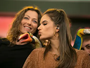 Un tucán, un loro, un león y un águila, la espectacular obra de hand painting Un tucán, un loro, un león y un águila, la espectacular obra de hand painting