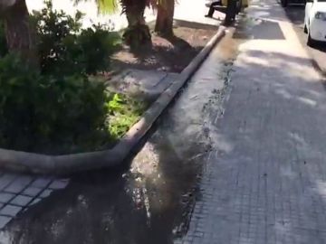 Huelga de limpieza de alcantarillas en Canarias Huelga de limpieza de alcantarillas en Canarias