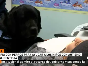PERROS PERROS