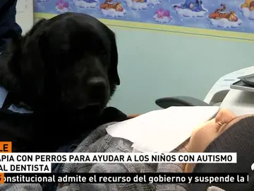 PERROS PERROS