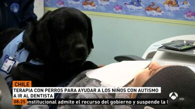 Una terapia con perros ayuda a los niños autistas a ir al dentista en Chile