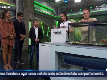 ciencia completa ciencia completa