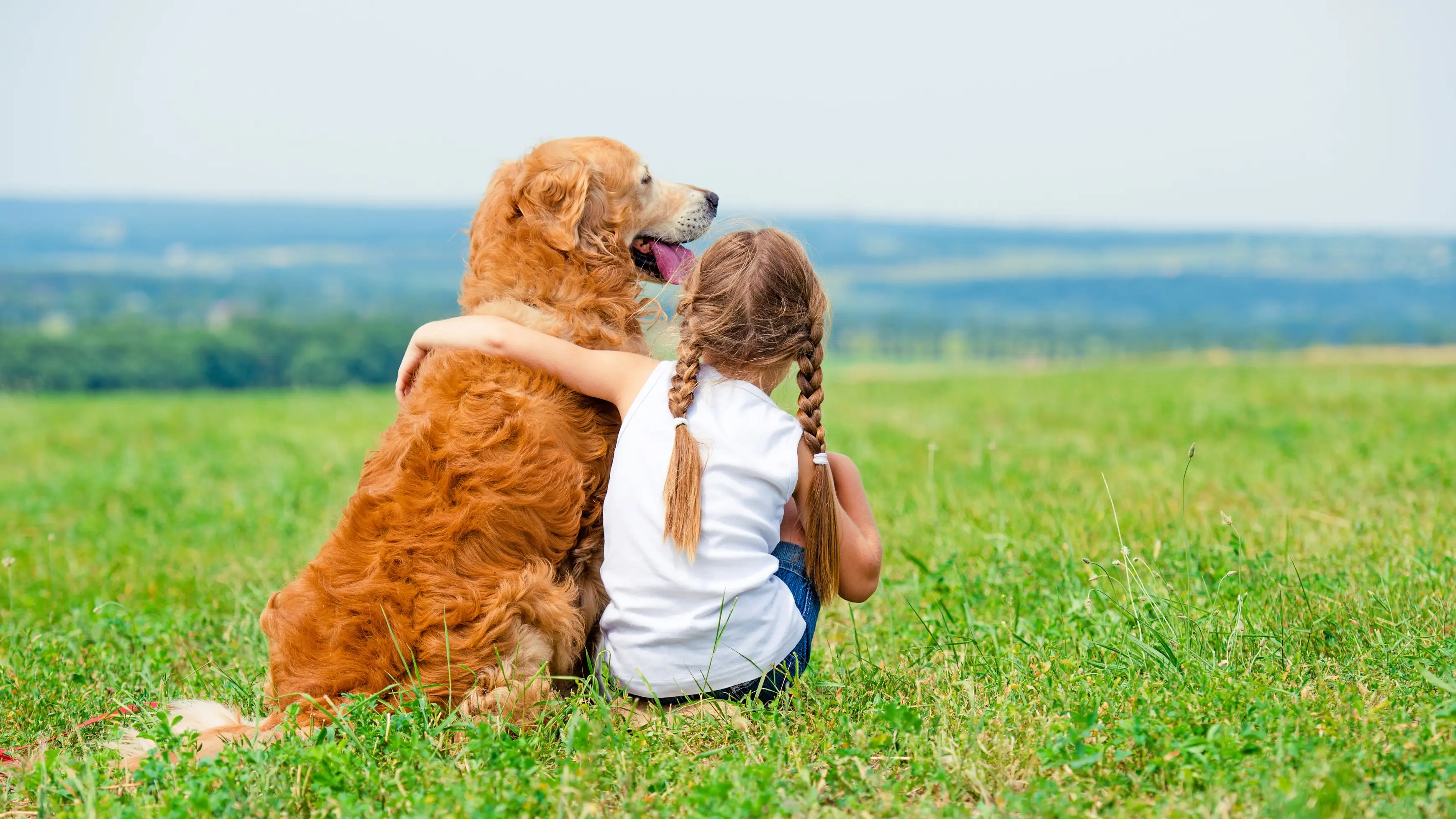 los perros son el principal reservorio del par&aacute;sito causante de la leishmaniosis