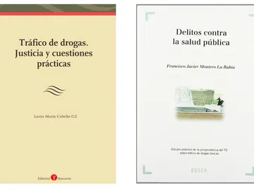 El libro de la directora de la Uned de Albacete junto al libro que supuestamente ha plagiado El libro de la directora de la Uned de Albacete junto al libro que supuestamente ha plagiado