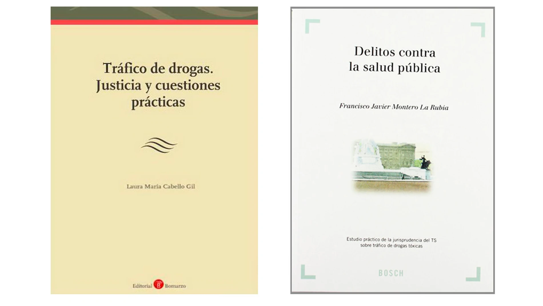 El libro de la directora de la Uned de Albacete junto al libro que supuestamente ha plagiado El libro de la directora de la Uned de Albacete junto al libro que supuestamente ha plagiado