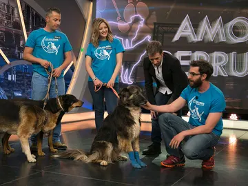 Roberto Carlos en 'El Hormiguero 3.0' Roberto Carlos en 'El Hormiguero 3.0'