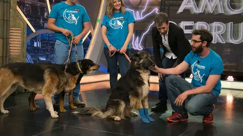 Roberto Carlos en 'El Hormiguero 3.0' Roberto Carlos en 'El Hormiguero 3.0'