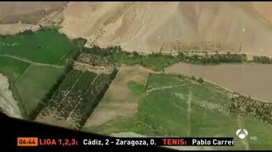 La Policía de Perú descubre una enorme plantación de 170.000 plantas de marihuana en una zona boscosa