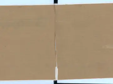 Las páginas secretas del diario de Ana Frank Las páginas secretas del diario de Ana Frank