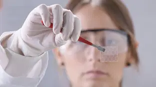 Cada vez mas cientificos comparten sus resultados antes de publicarlos Cada vez mas cientificos comparten sus resultados antes de publicarlos