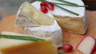 Queso camembert