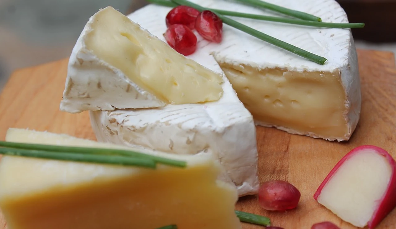 Queso camembert