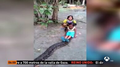 El vídeo de dos niñas jugando sobre una pitón de dos metros en Indonesia causa indignación en la red
