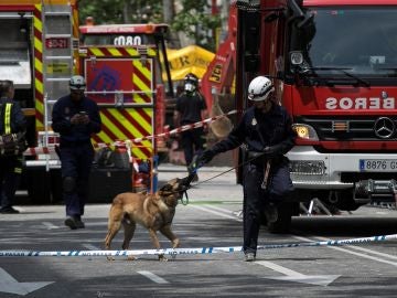 Los Bomberos del Ayuntamiento de Madrid trabajan en dos zonas marcadas por perros