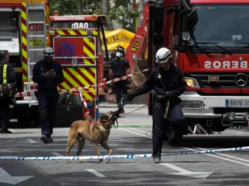 Los Bomberos del Ayuntamiento de Madrid trabajan en dos zonas marcadas por perros Los Bomberos del Ayuntamiento de Madrid trabajan en dos zonas marcadas por perros