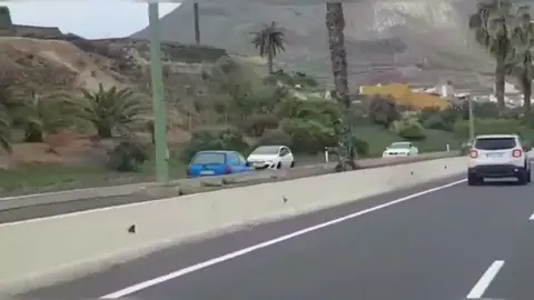Detenido un conductor kamikaze de 60 años que provocó tres accidentes Detenido un conductor kamikaze de 60 años que provocó tres accidentes
