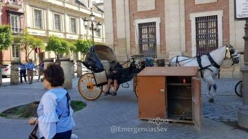 Cochero de caballos borracho en Sevilla