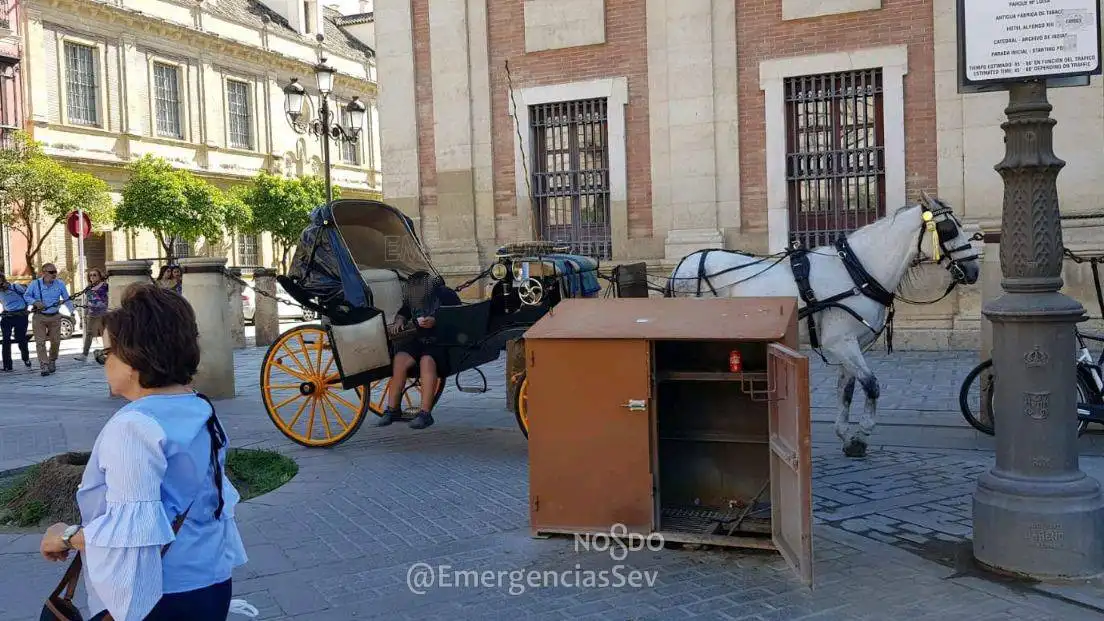 Cochero de caballos borracho en Sevilla Cochero de caballos borracho en Sevilla