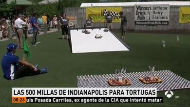 La tradicional carrera de tortugas en el zoo de Indianápolis acaba con Ed Carpenter como ganadora del suculento premio: un plato de fruta