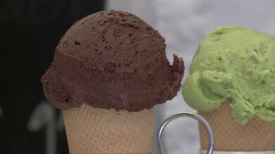 Helados con sabor a 'sombra de higuera' o 'paseo de verano' en Logroño 