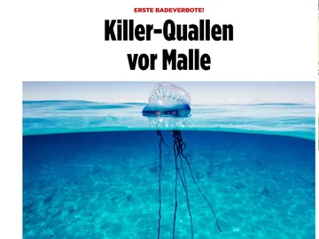 "Medusas asesinas" en Mallorca "Medusas asesinas" en Mallorca