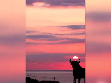 " El toro de Osborne", el más conocido de España, cumple 60 años " El toro de Osborne", el más conocido de España, cumple 60 años