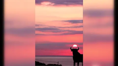 " El toro de Osborne", el más conocido de España, cumple 60 años " El toro de Osborne", el más conocido de España, cumple 60 años