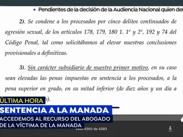 La acusación particular y popular recurren la sentencia de 'La Manada' y pide que se condene a los acusados por agresión sexual La acusación particular y popular recurren la sentencia de 'La Manada' y pide que se condene a los acusados por agresión sexual