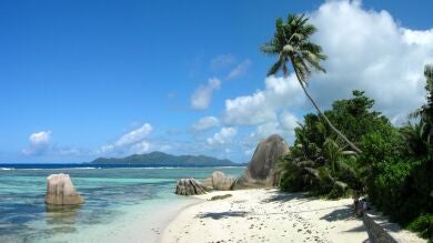Bañarse en el paraíso puede volverse un infierno: estos son los riesgos de los destinos tropicales